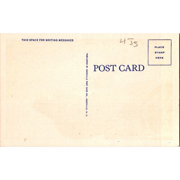 One Of The Bears In The Great Smoky Mountains Vintage Postcard SPE22 - Picture 2 of 2